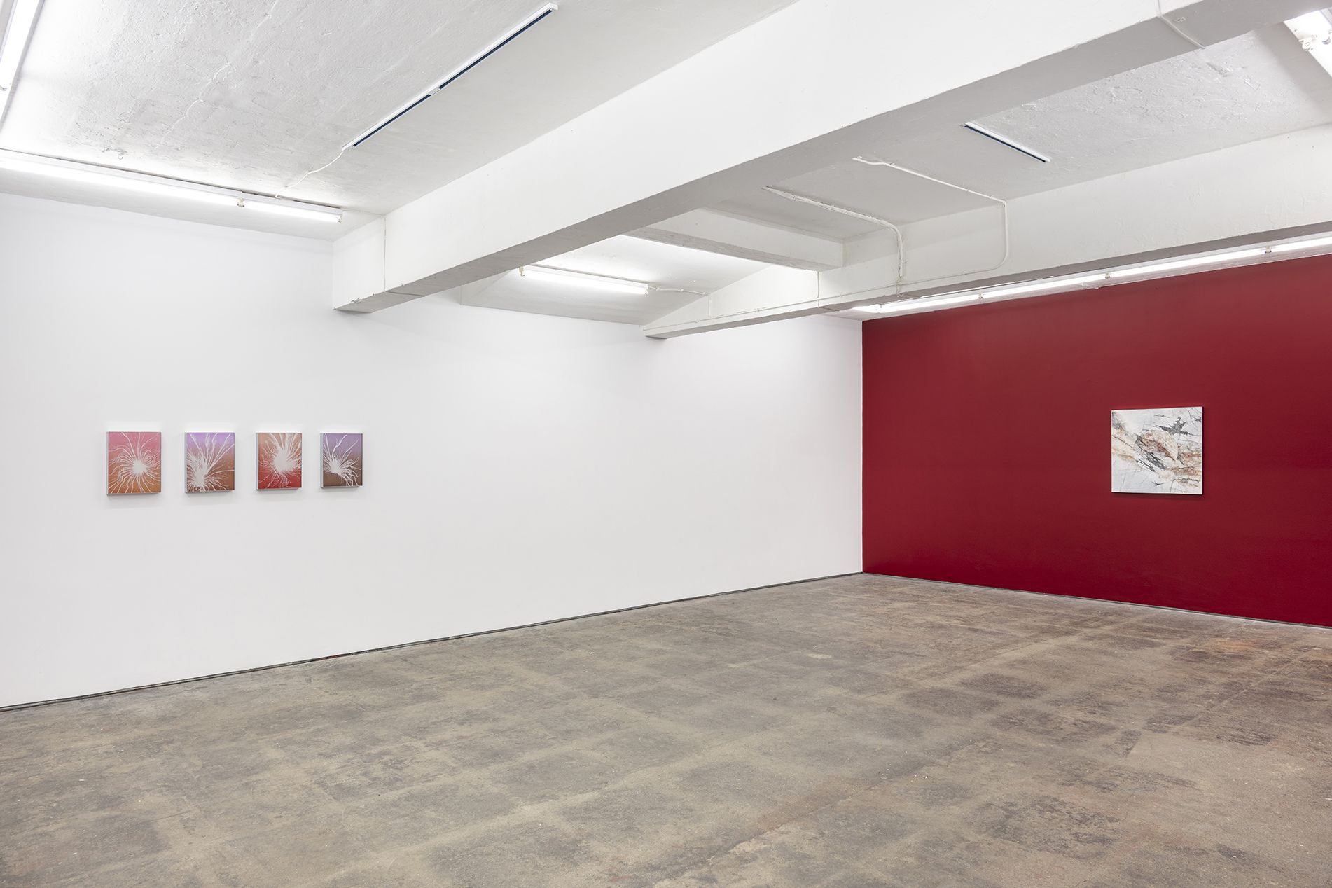 Gabriele Beveridge, Never Ends at Seventeen, photo 5