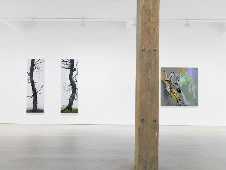 Inka Essenhigh, Inka Essenhigh at Miles McEnery, photo 2