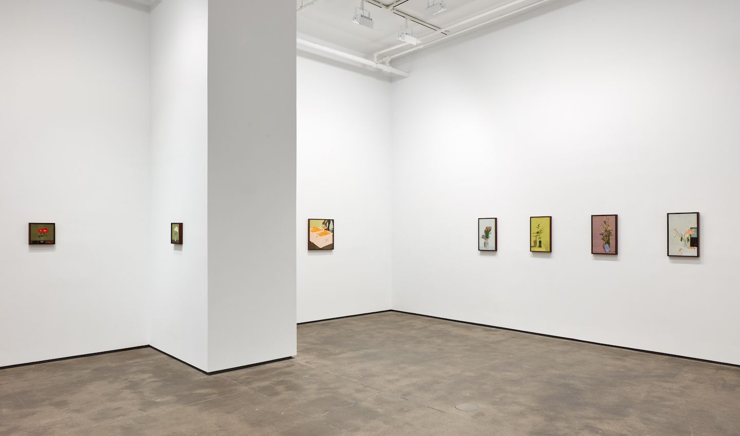 Installation view 12