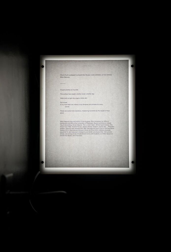 Mitra Saboury, Gut House at Chin's Push, photo 6