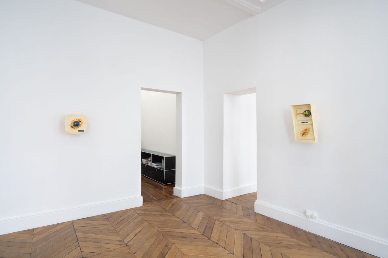 Cooper Jacoby, The Living Substrate at Fitzpatrick Gallery, photo 7