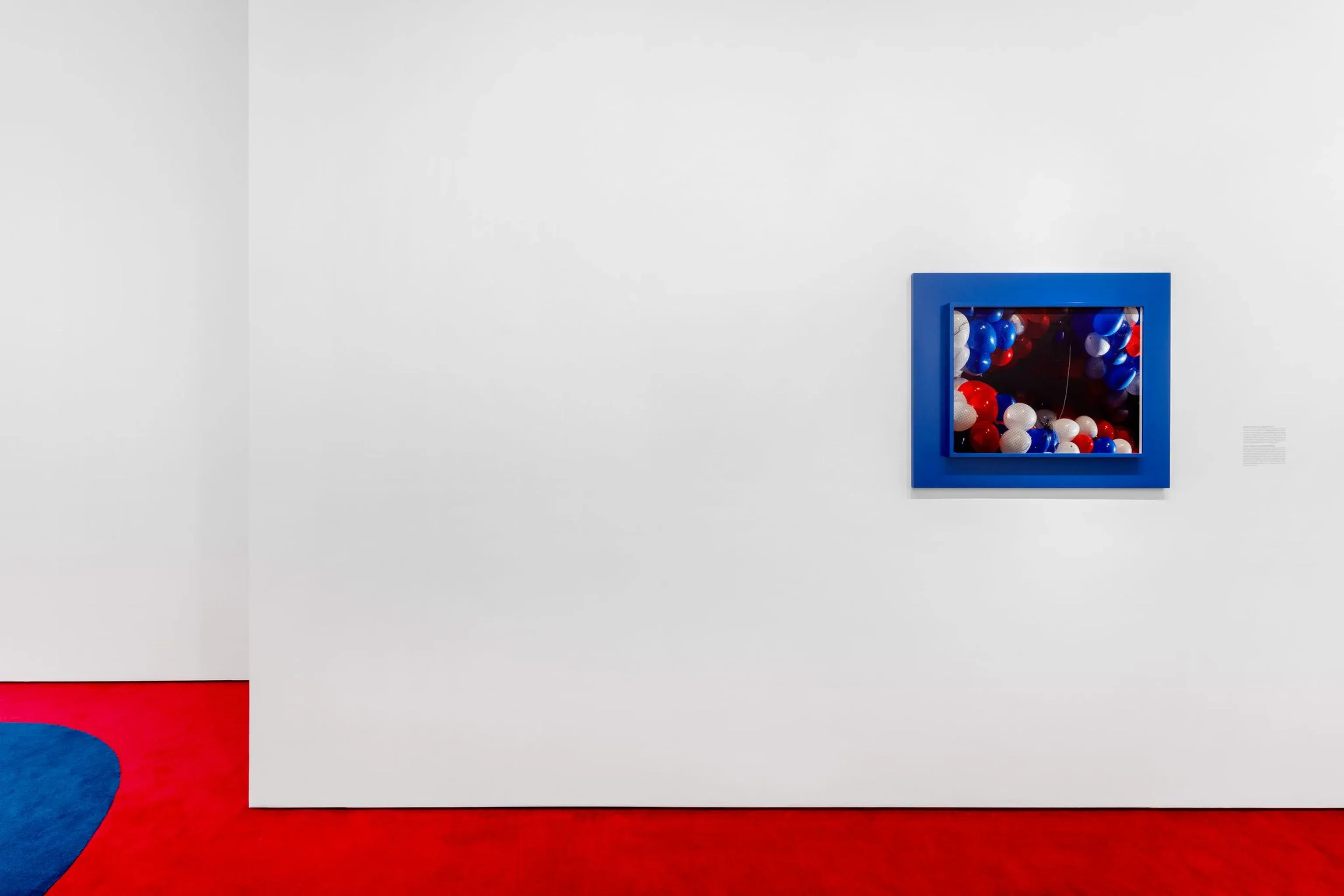 Taryn Simon, The Game at Almine Rech, photo 6