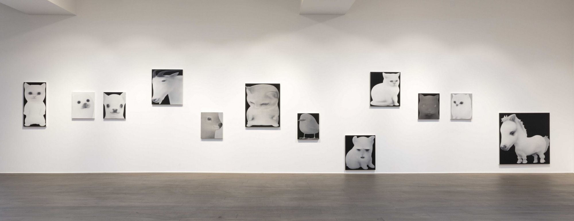 Jingze Du, True Colors at Steve Turner, photo 2