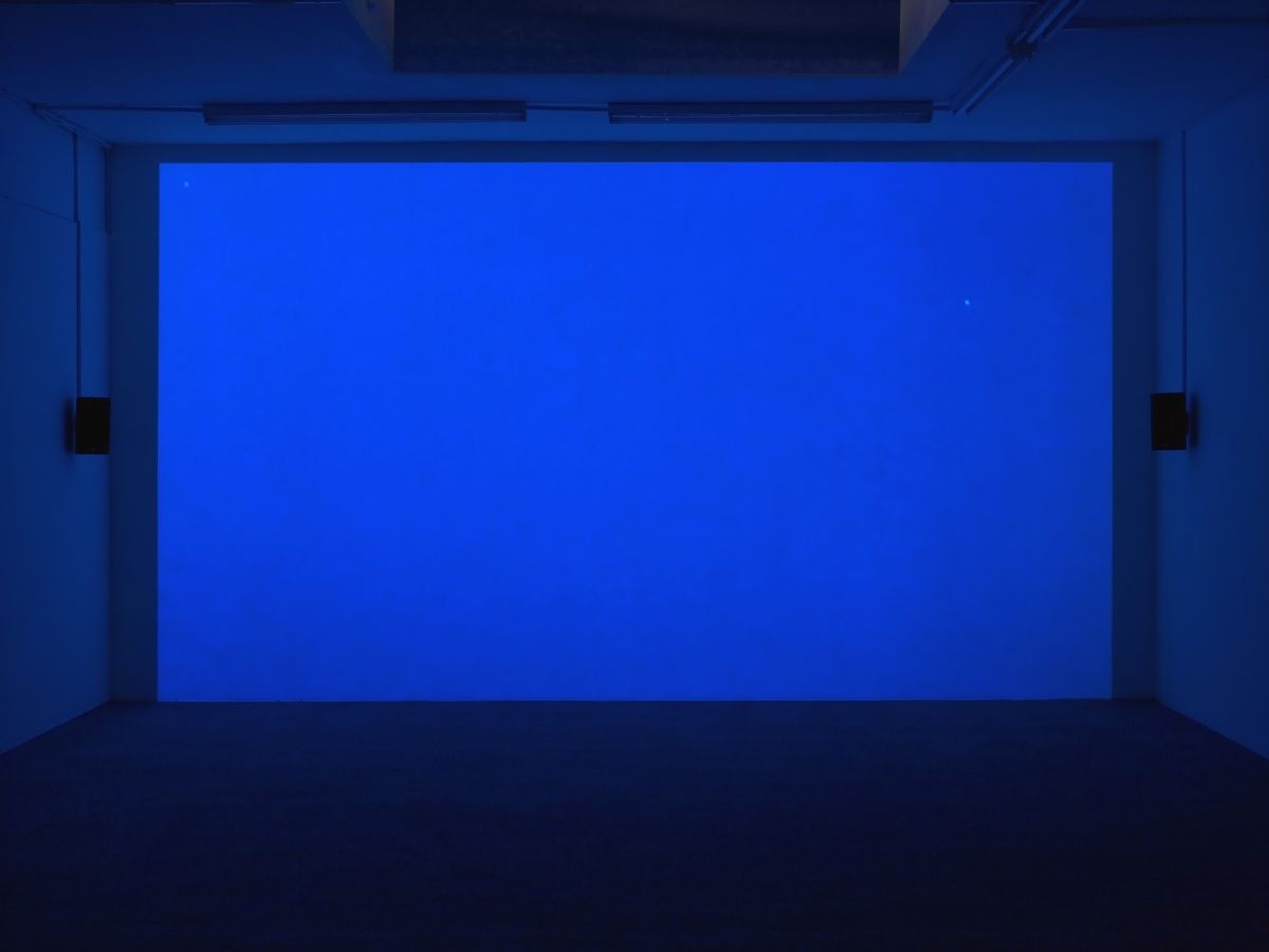 Elizabeth McAlpine, Light Reading at Laura Bartlett, photo 8