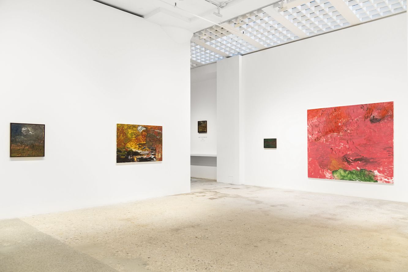 Brett Goodroad, Rainy at Greene Naftali, photo 2