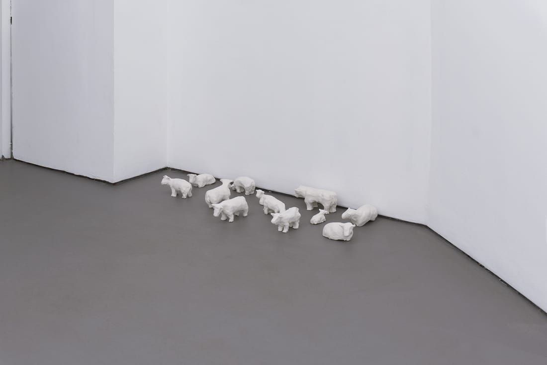A Pattern Withdrawn, A Pattern Withdrawn at American Medium, photo 6