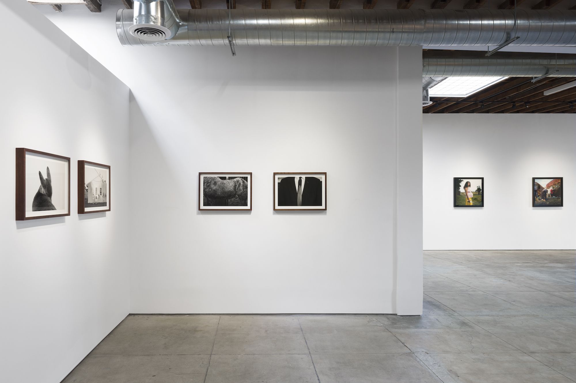 Alessandra Sanguinetti, The Sixth Day at Webber, photo 8