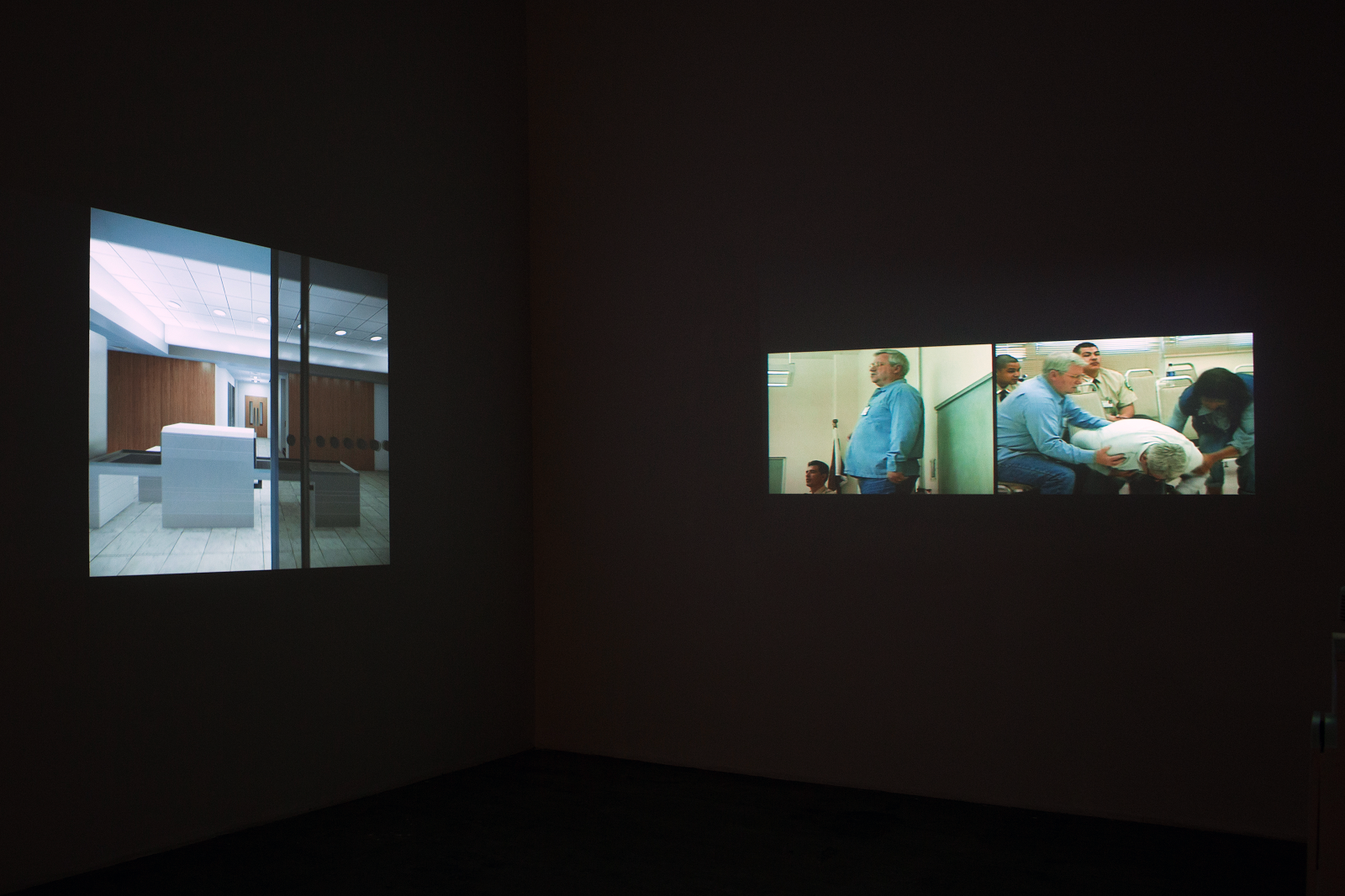 Evidentiary Realism, Evidentiary Realism at Fridman Gallery, photo 12