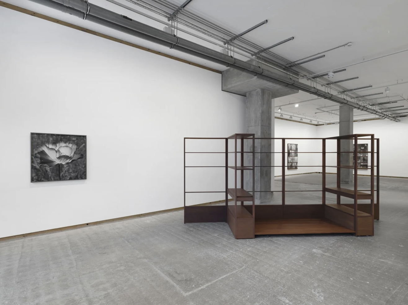 Dayanita Singh, Dayanita Singh at Frith Street Gallery, photo 3