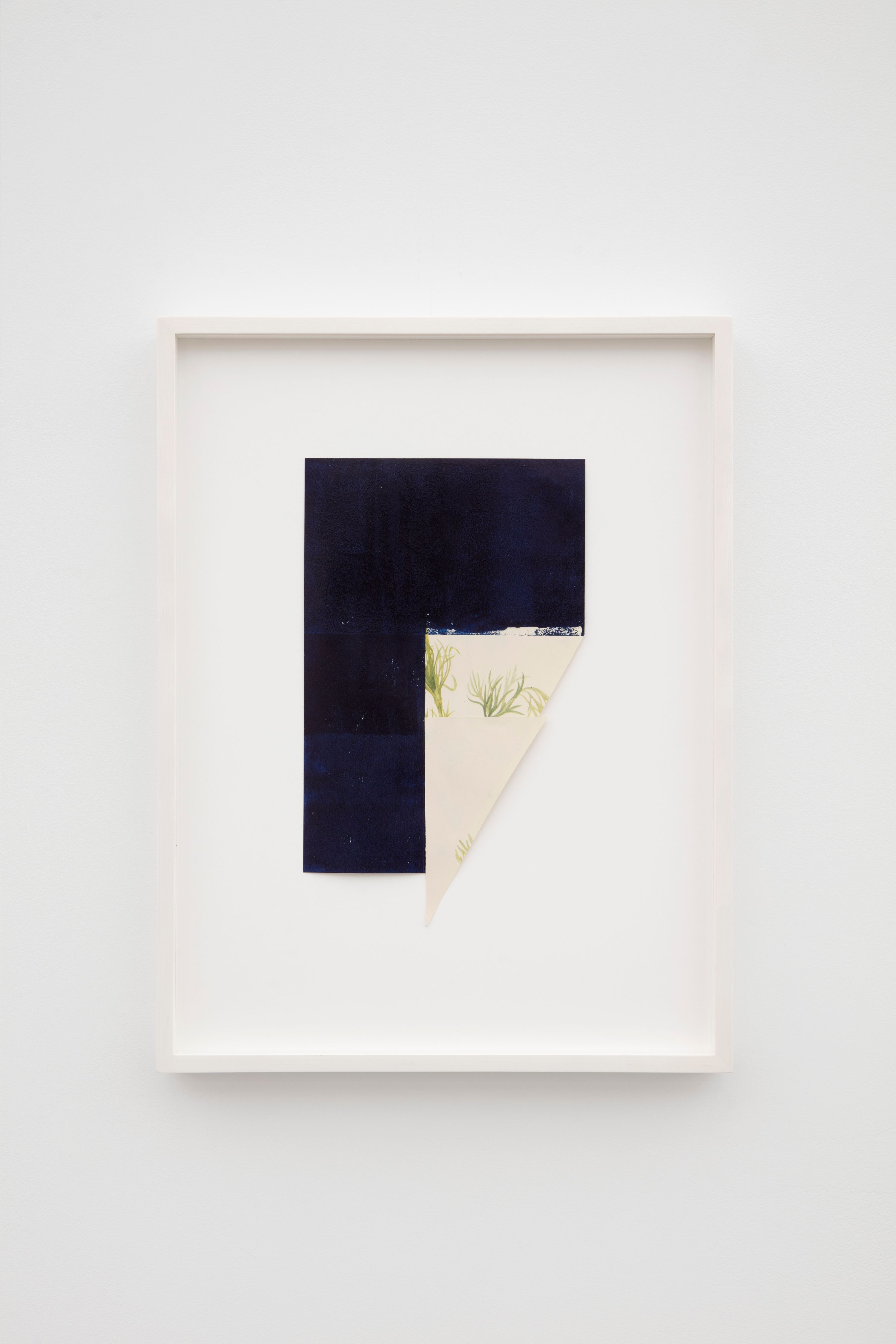 Leslie Hewitt, Anatomy of a Flower and Other Studio Experiments at Perrotin, photo 6