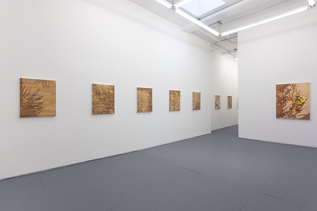 Installation view 5