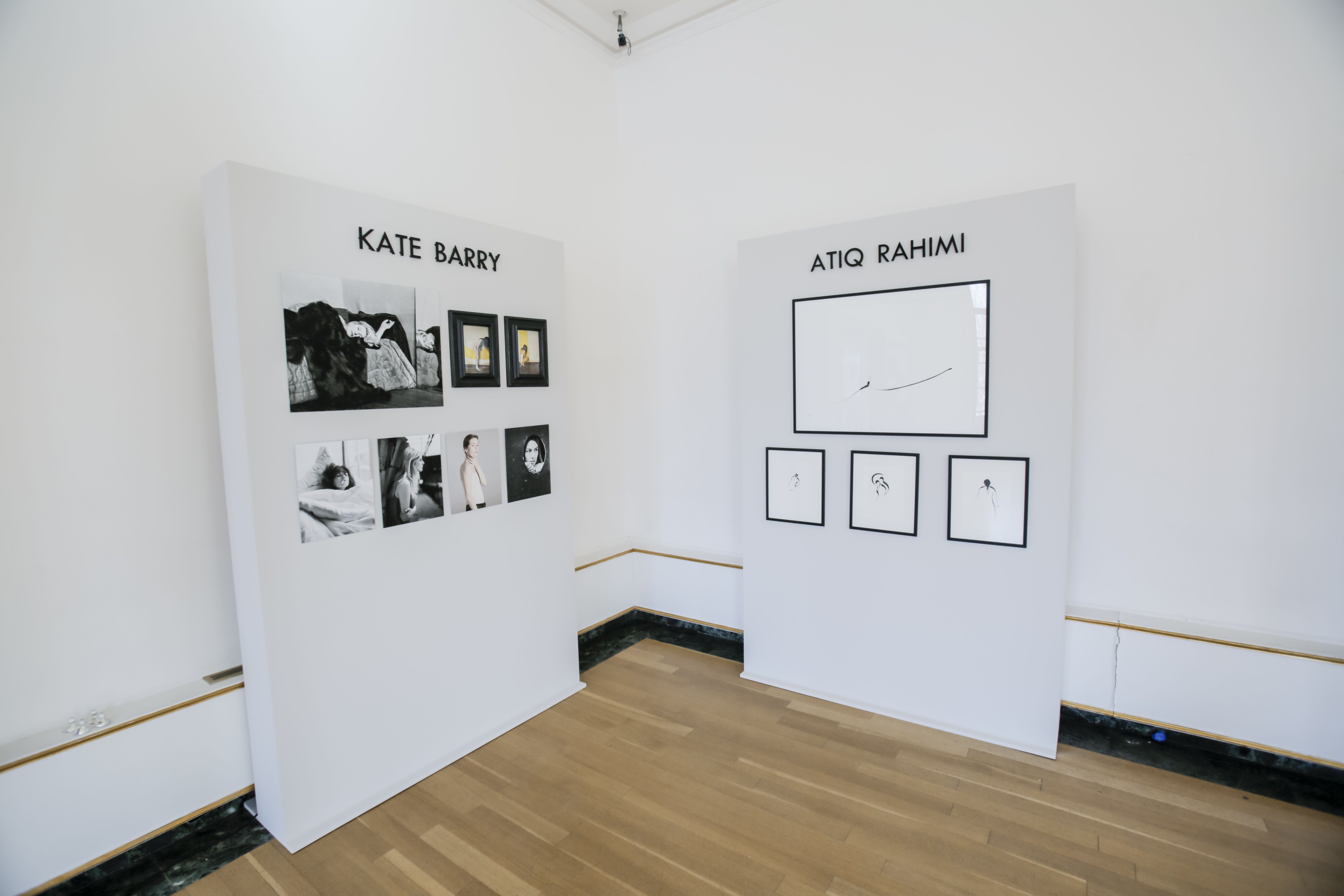 Galerie Cinema in New York, Galerie Cinema in New York at French Cultural Services, photo 4