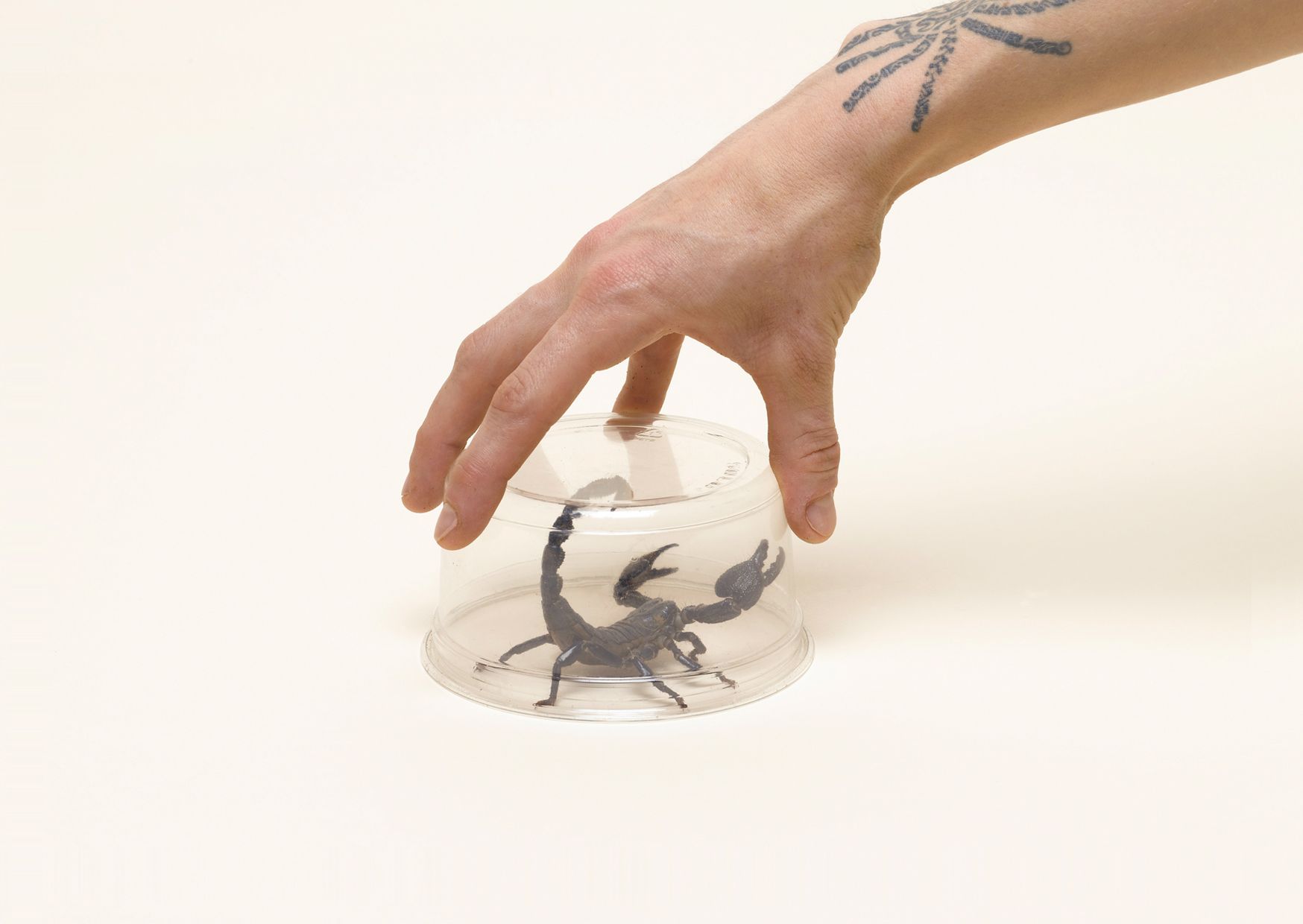 Caroline Delieutraz, Unnamed Feelings at 22,48 m², photo 3