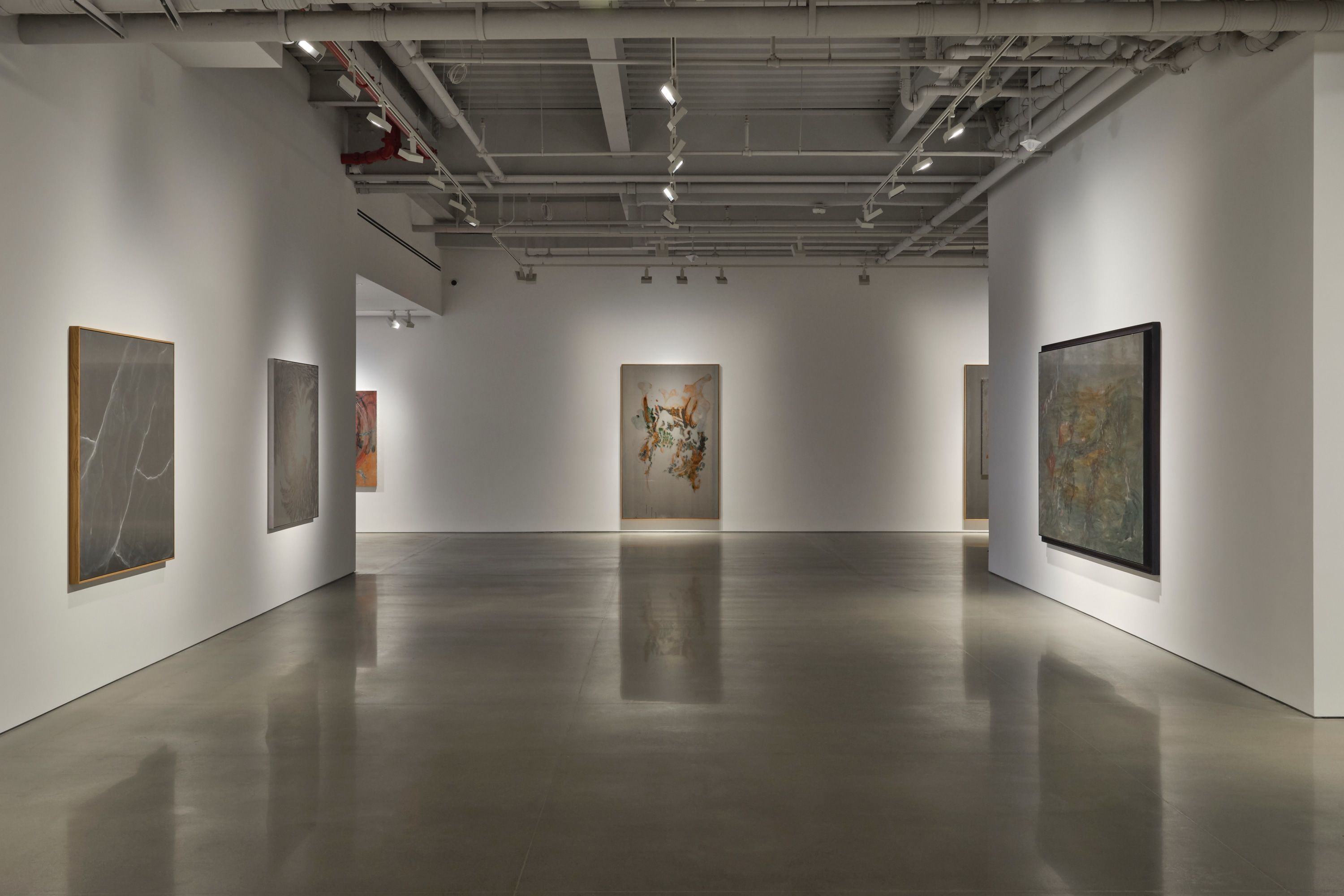 WangShui, WangShui at Kurimanzutto, photo 3