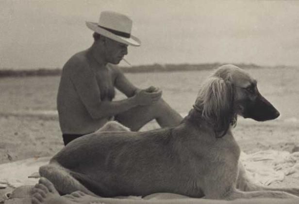 Picasso On The Beach, image 3 of 3