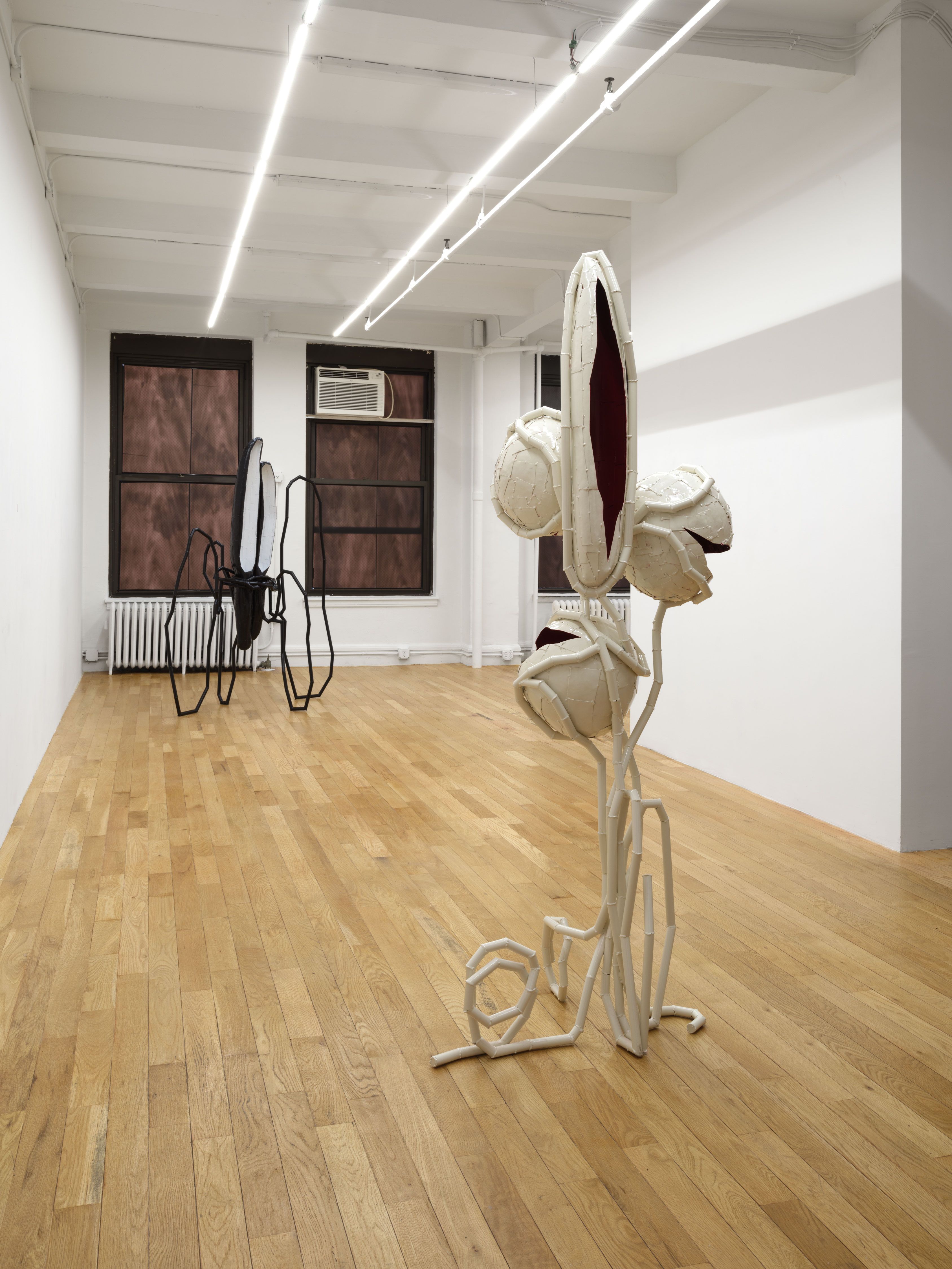 Indrikis Gelzis, Bingo Gaze at Polina Berlin Gallery, photo 4