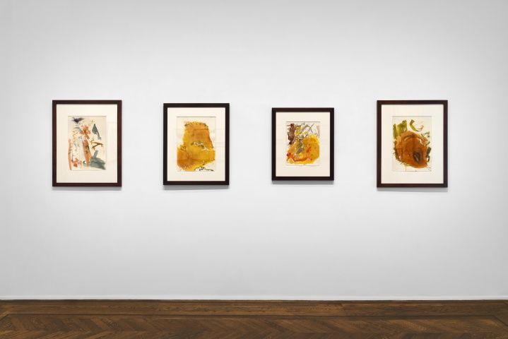 Don Van Vliet, Works on Paper at Michael Werner, photo 4
