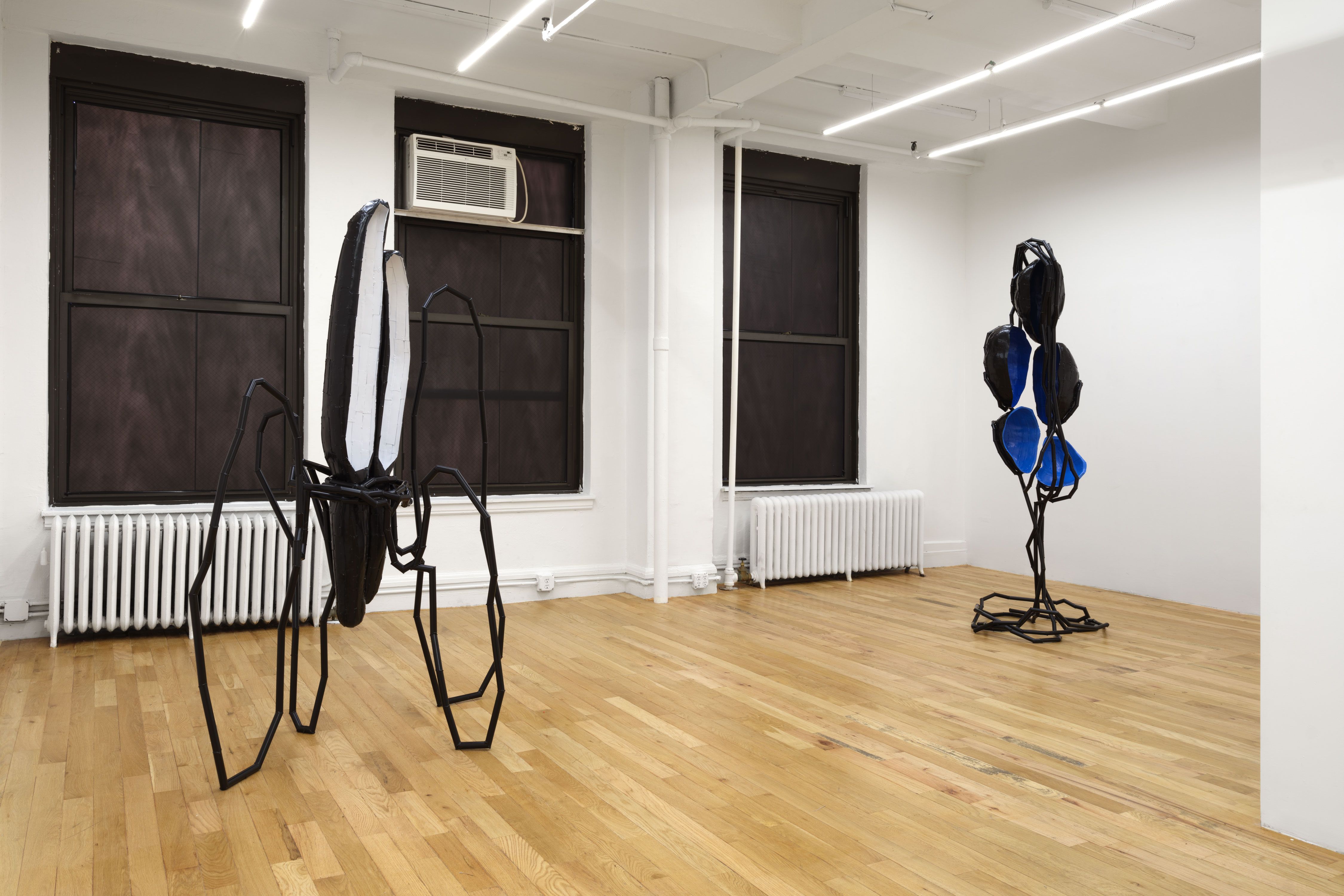Indrikis Gelzis, Bingo Gaze at Polina Berlin Gallery, photo 2