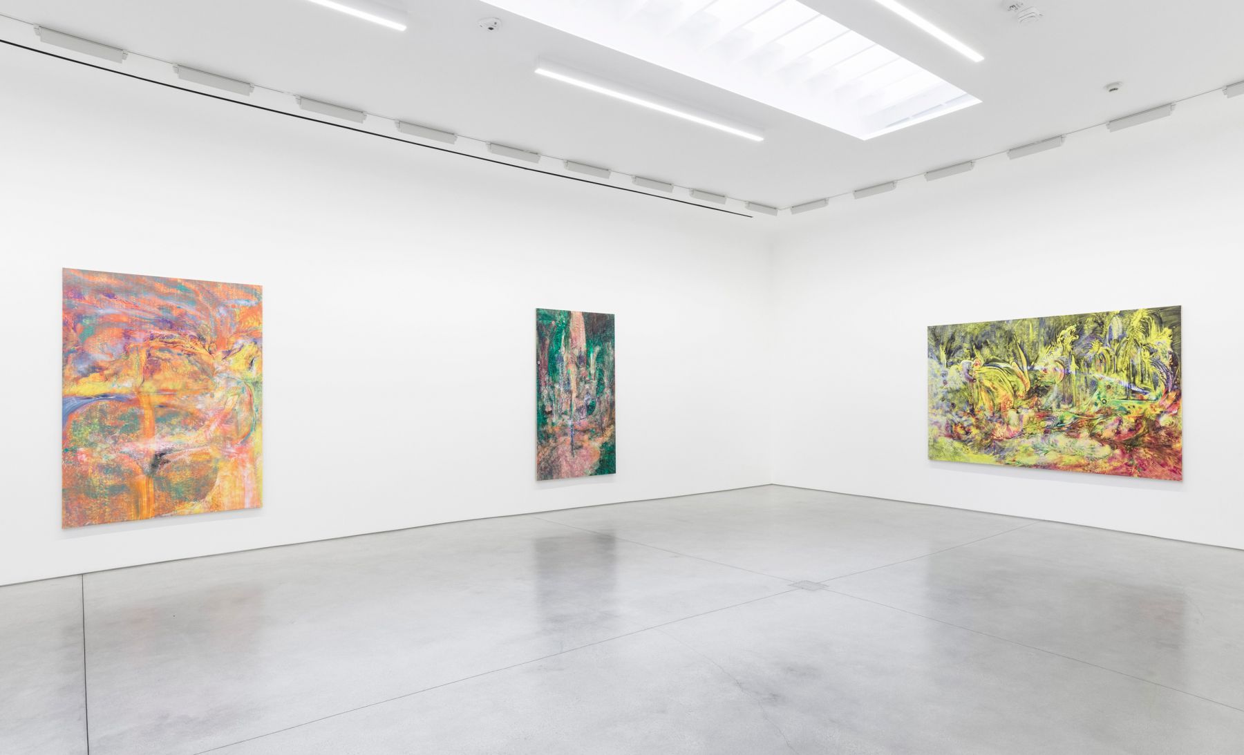 Lucy Bull, Skunk Grove at David Kordansky Gallery, photo 2