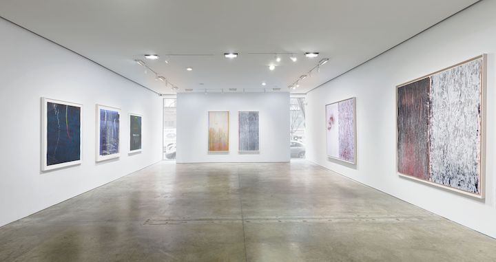 Pat Steir, Pat Steir at Pace Prints, photo 5