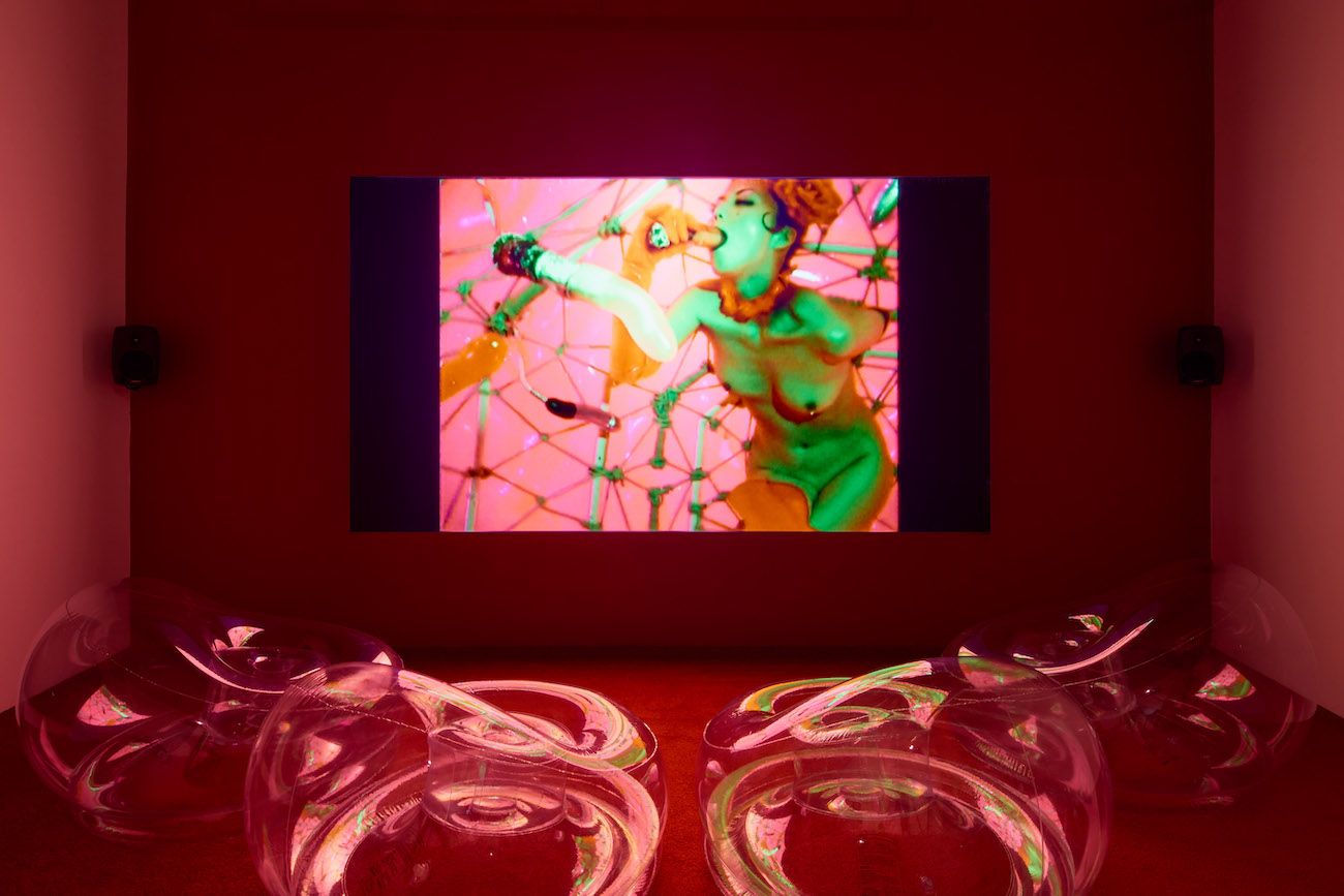 Shu Lea Cheang, Scifi New Queer Cinema (1994-2023) at Project Native Informant, photo 7