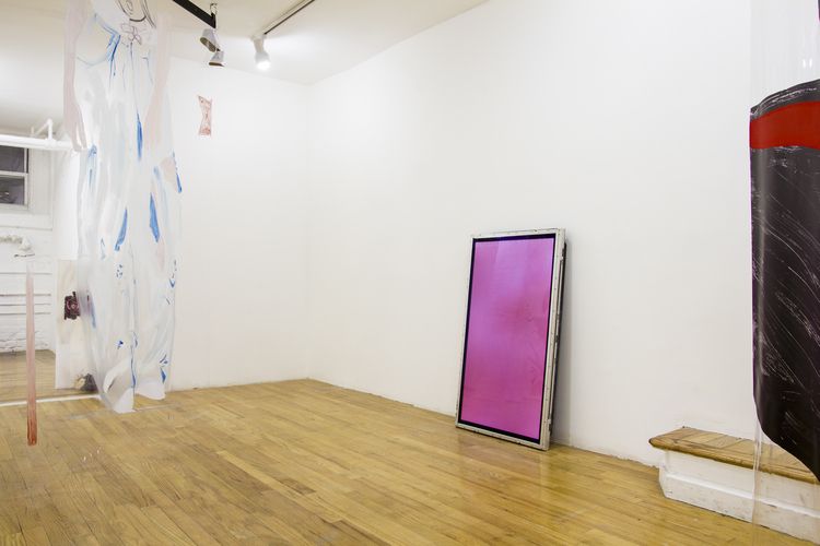 Raque Ford & Erika Hickle, Absolutely Yours at 321 Gallery, photo 5