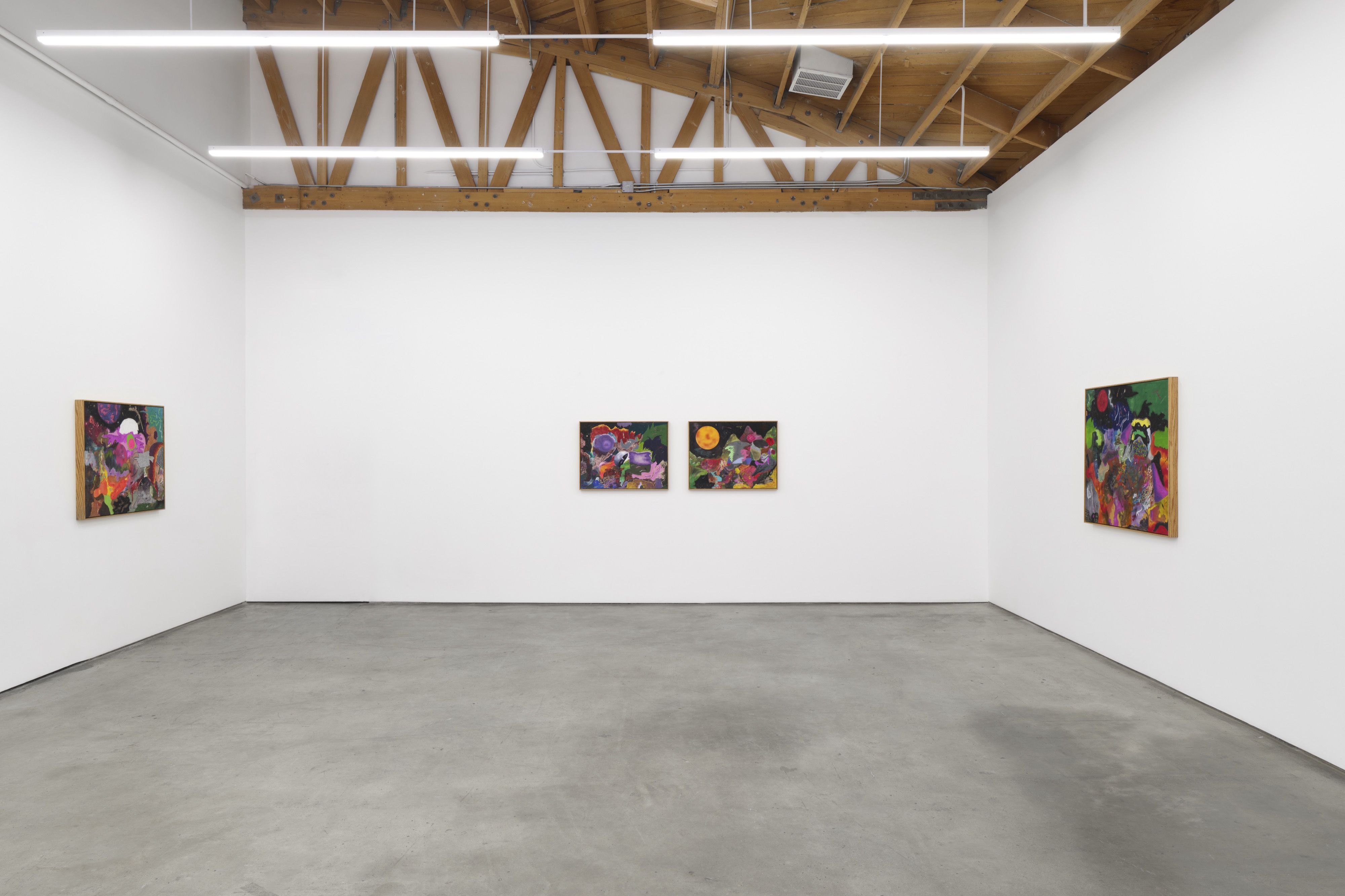 Michael Bauer, Propelled Into the Past and Oozing From His Glands at Megan Mulrooney, photo 11