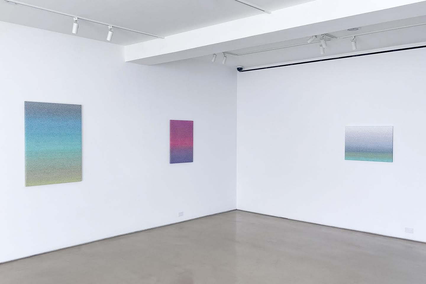 Nicky Broekhuysen, The Wind in High Places at Davidson Gallery, photo 9