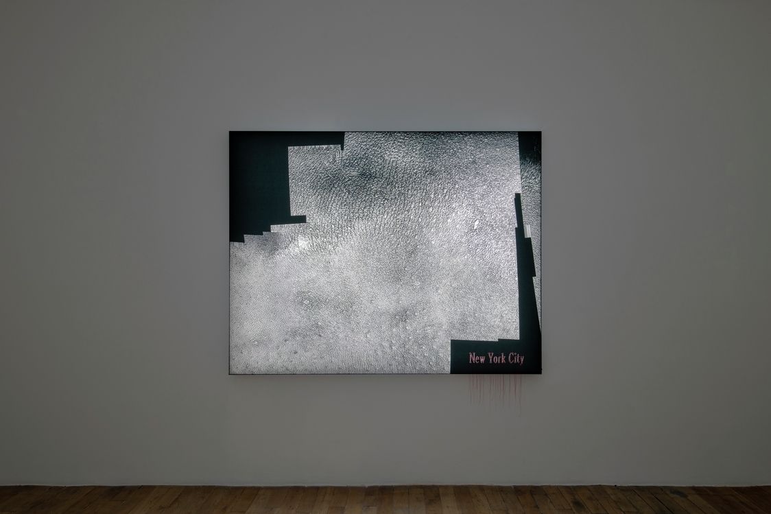 Seth Price, Self as Tube at Chantal Crousel, photo 4