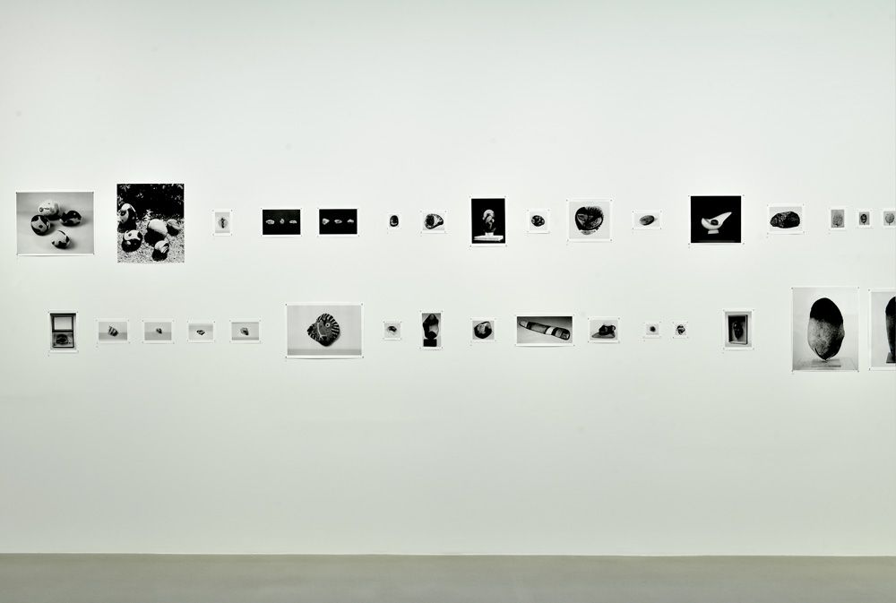 Jan Mot, Condo 2018 at Hollybush Gardens, photo 2