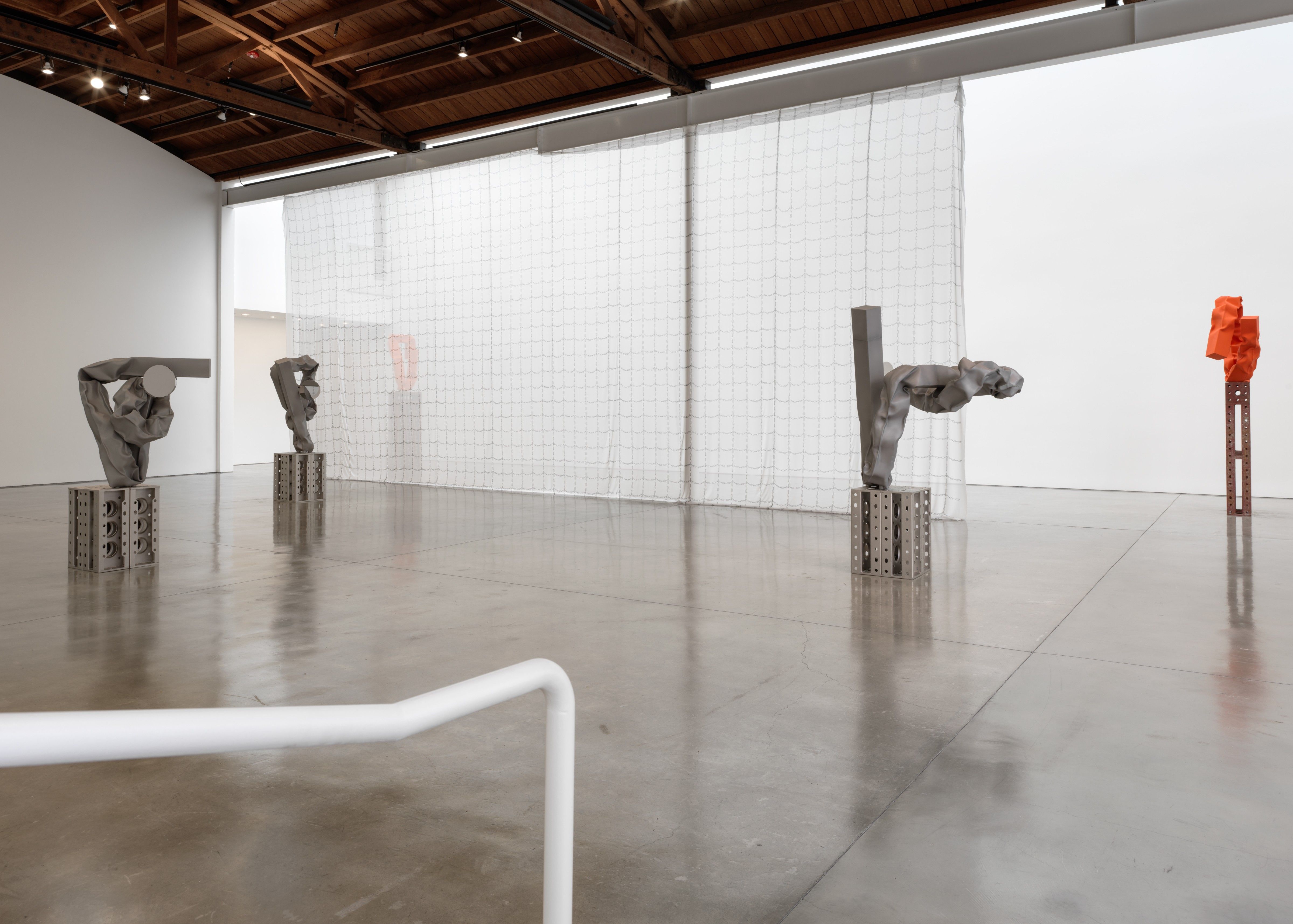 Carol Bove, image 4 of 6