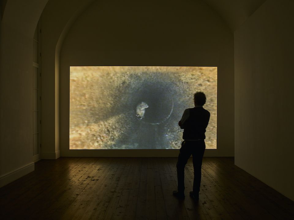 Peter Fischli & David Weiss, Should I paint a pirate ship on my car with an armed figure on it holding a decapitated head by the hair? at Sprüth Magers, photo 6