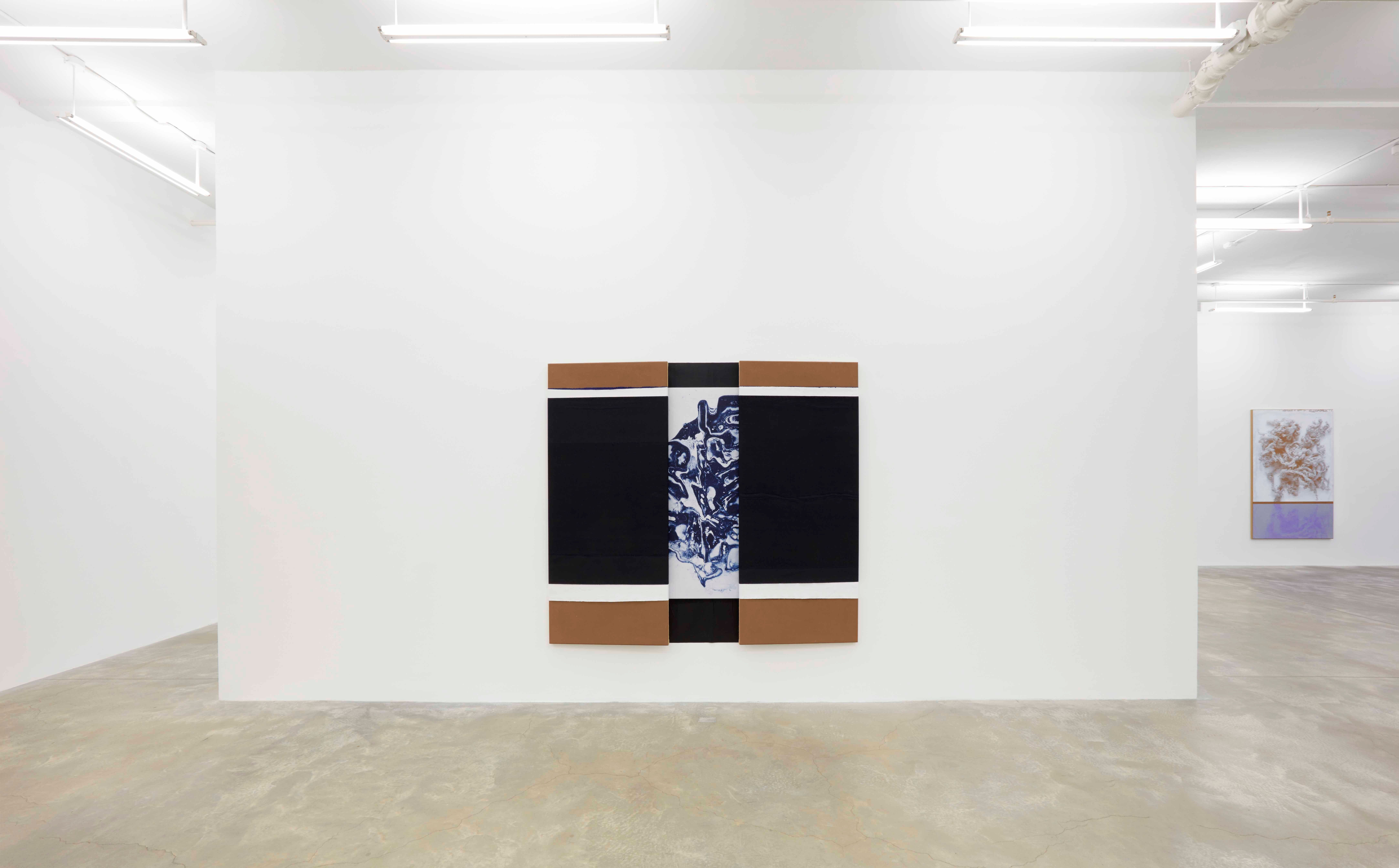 N. Dash, N. Dash at Casey Kaplan, photo 20