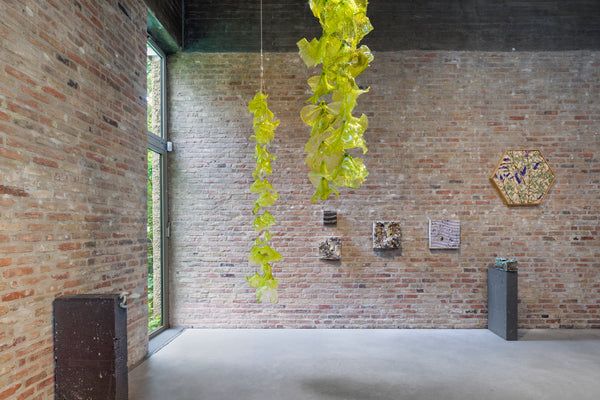 Tue Greenfort, Wunderkammer at König Galerie, photo 4