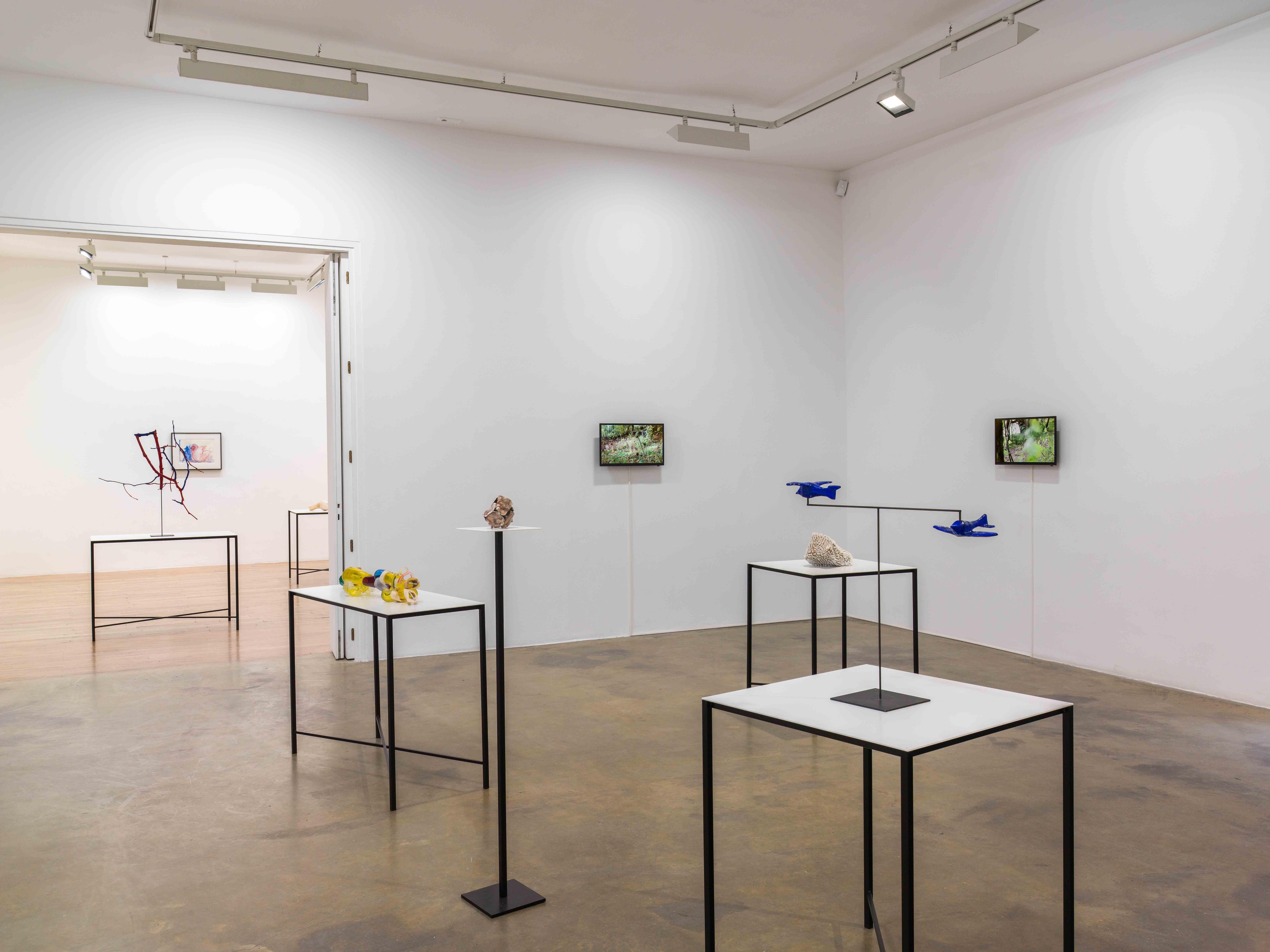 Jean-Luc Moulène, Ce fut une belle journée. at Chantal Crousel, photo 2