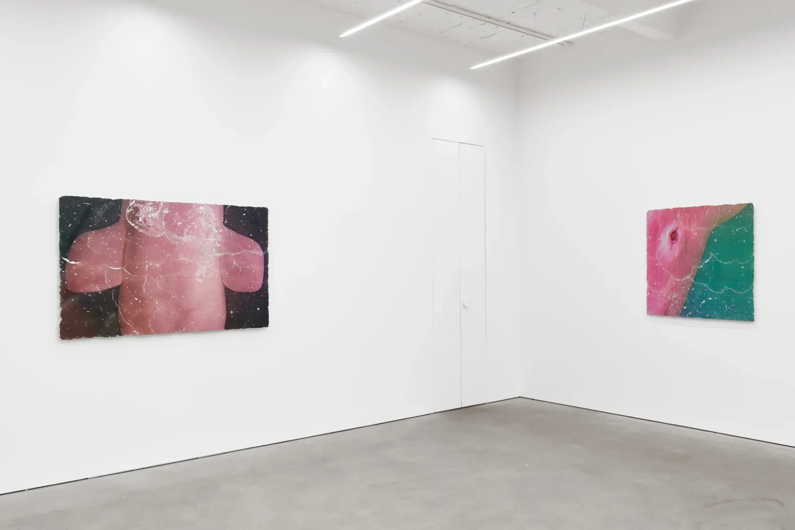 Katja Novitskova, Soft Approximations at Kraupa-Tuskany Zeidler, photo 3