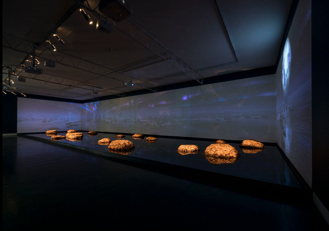 Living Rocks: A Fragment of the Universe, Living Rocks: A Fragment of the Universe at Magazzino del Sale No. 5, photo 3