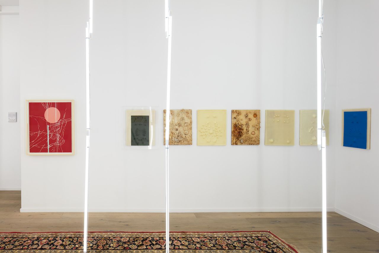Carlito Carvalhosa, I Want to be Like You at Galeria Nara Roesler, photo 2