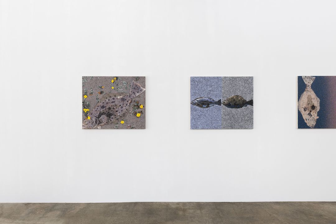 Adam Higgins, Flatfish at Hunter Shaw Fine Art, photo 3