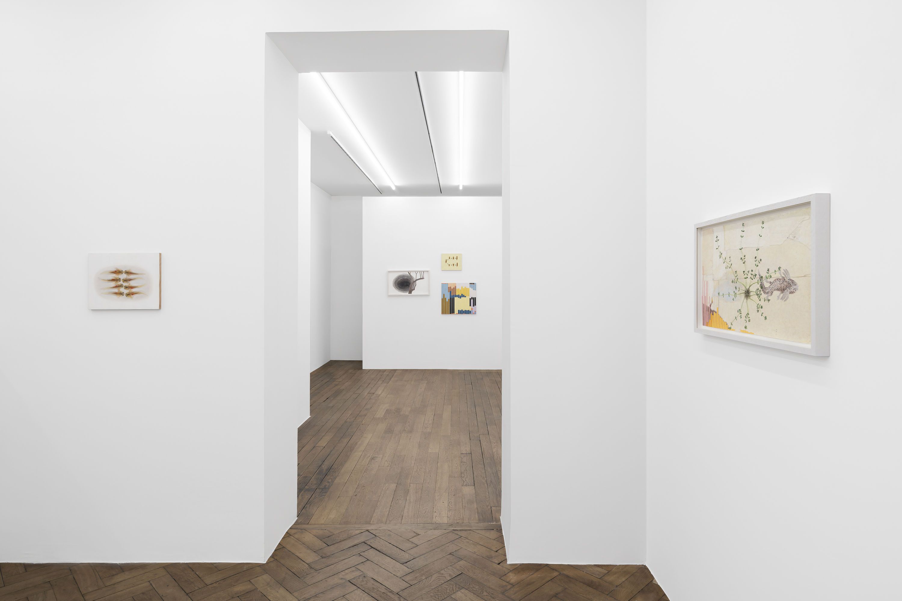 Melanie Smith, An Age of Liberty When the World Had Been Possible at Peter Kilchmann, photo 3
