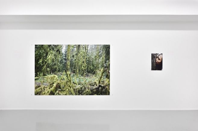 Juergen Teller, Leg, Snails and Peaches at Suzanne Tarasieve, photo 4