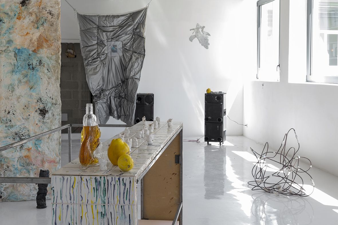Gaëlle Choisne, Mondes Subtiles at Air de Paris, photo 6