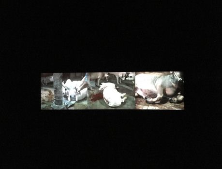 Araya Rasdjarmrearnsook, Niranam at Tyler Rollins Fine Art, photo 6