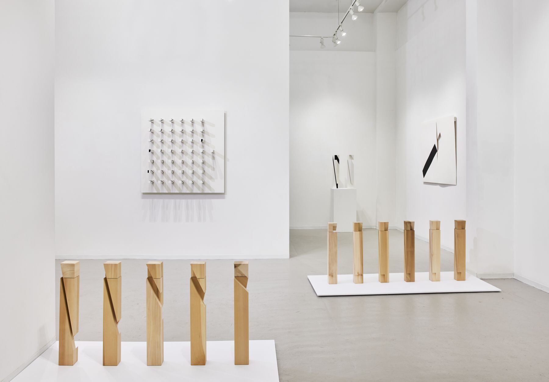 Roland Gebhardt, Diverse Vocabularies at David Richard Gallery, photo 11