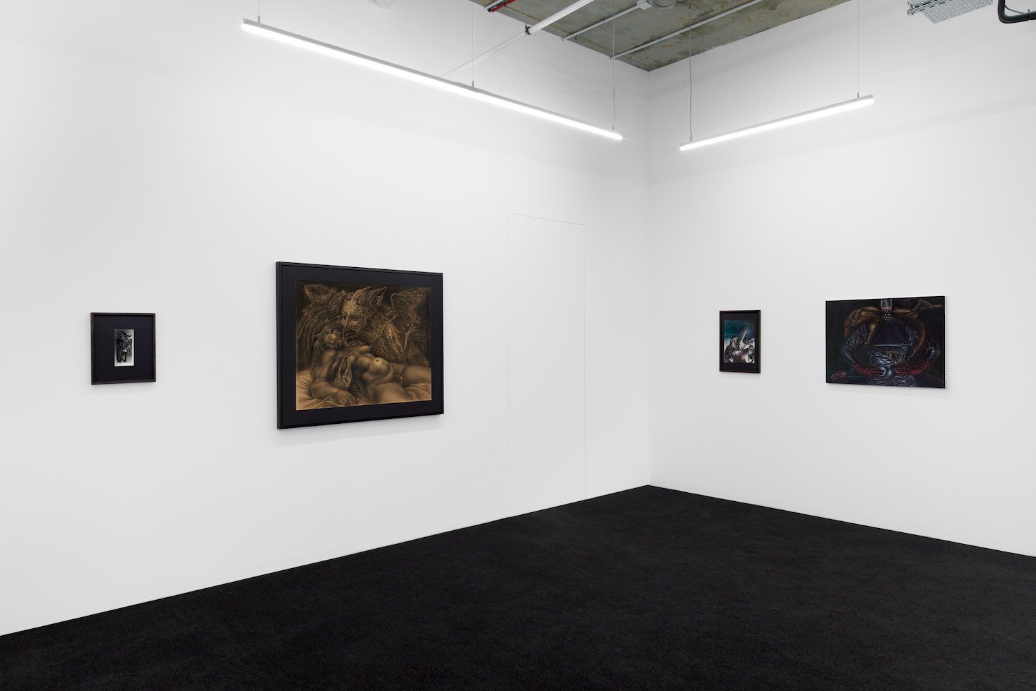 Sibylle Ruppert, Frenzy of the Visible at Project Native Informant, photo 3