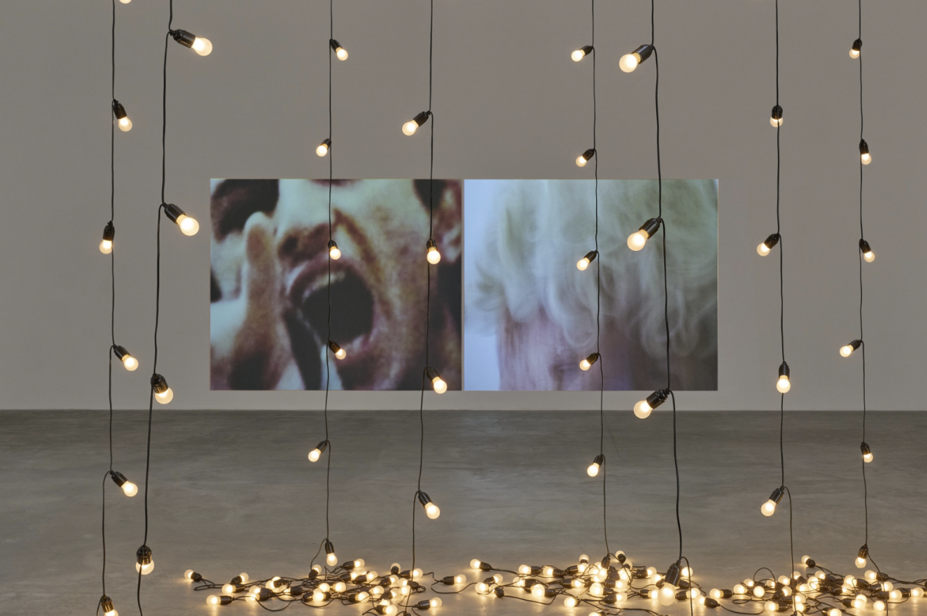 Sturtevant, Sturtevant at Matthew Marks, photo 2