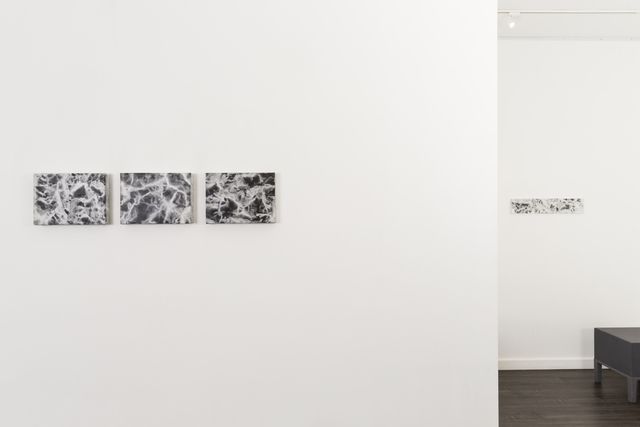 Vicky Colombet, Earth at Christian Duvernois Gallery, photo 6
