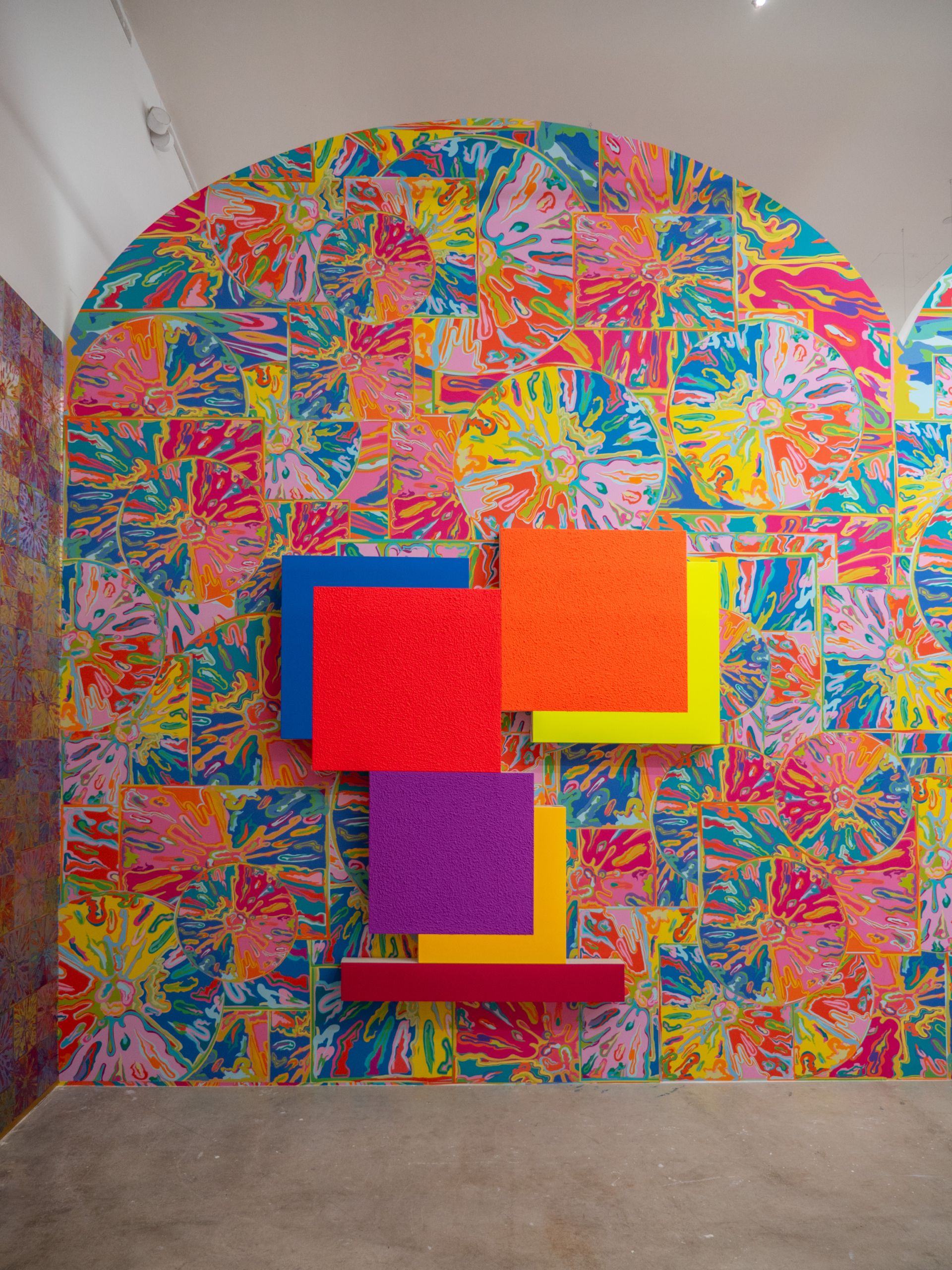 Peter Halley, The Mirror Stage at NSU Art Museum Fort Lauderdale, photo 5