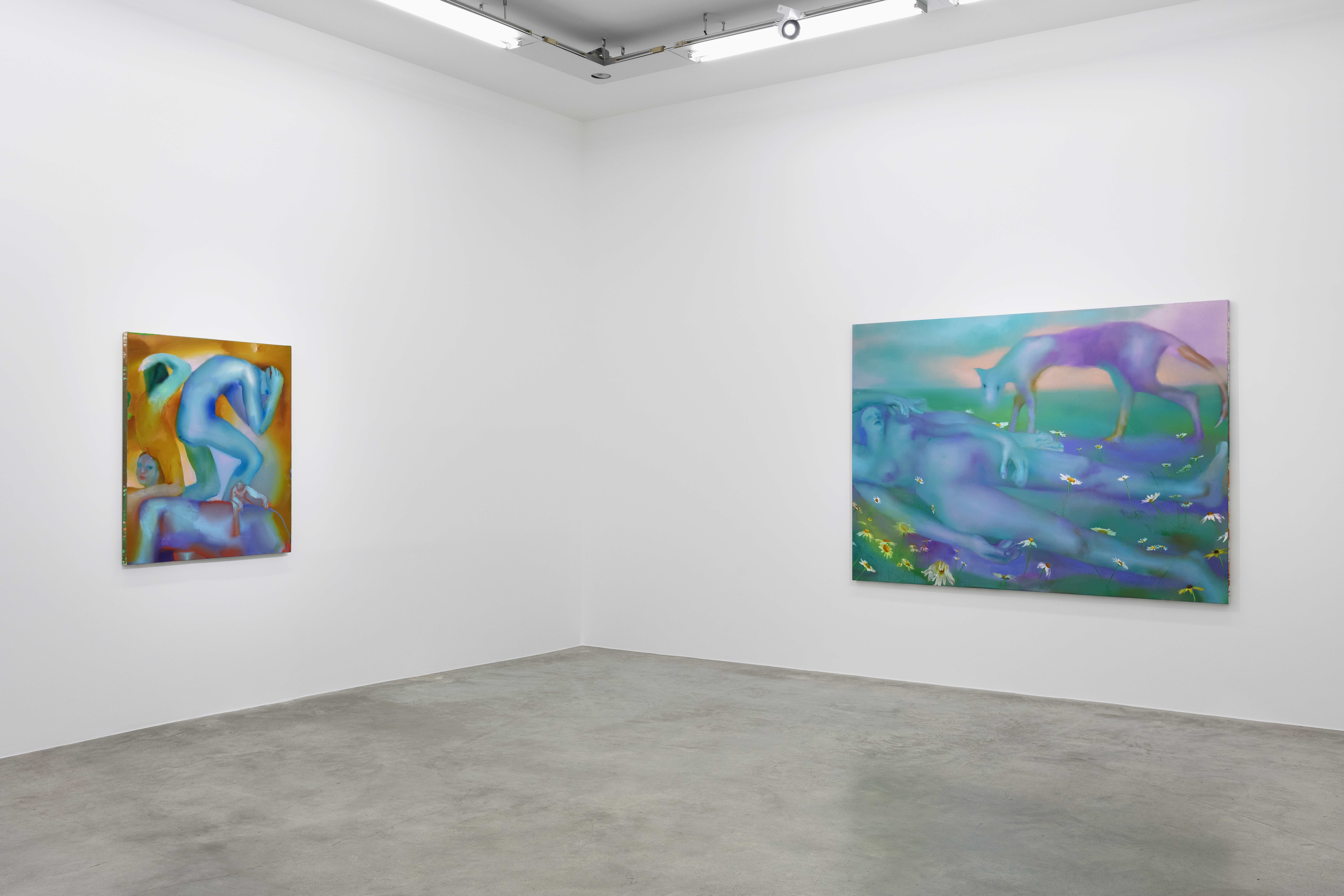 Elizabeth Glaessner, Dead Leg at Perrotin, photo 2