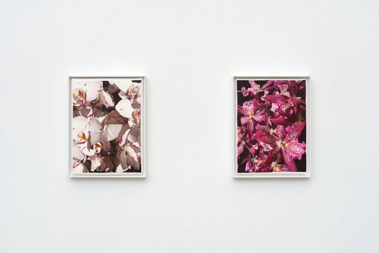 Apricity, Apricity at 12.26, photo 4